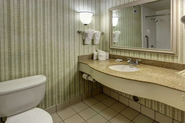جناح ديلوكس بسرير كينج مع أريكة، Hilton Garden Inn Williamsburg 5/5