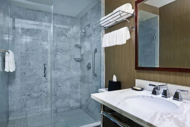 Suite, King Bed, Sofa, Corner, Sheraton Philadelphia University City 4/5