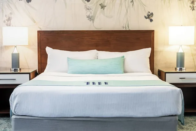 غرفة ديلوكس بسرير كينج، The Read House Hotel Historic Inn and Suites 1/3
