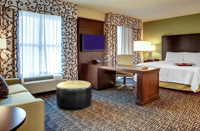 جناح استوديو بسرير كينج مع أريكة، Hampton Inn And Suites Baton Rouge Downtown 4/10