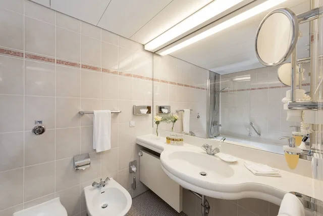 غرفة سوبيريور عائلية، MARITIM HOTEL MAGDEBURG 3/3
