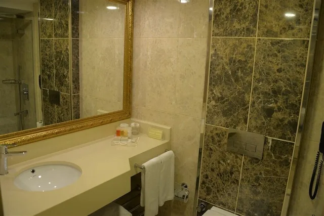 غرفة قياسية بسريرين منفصلين بإطلالة على البحر، Ege Palas Business Hotel 2/2