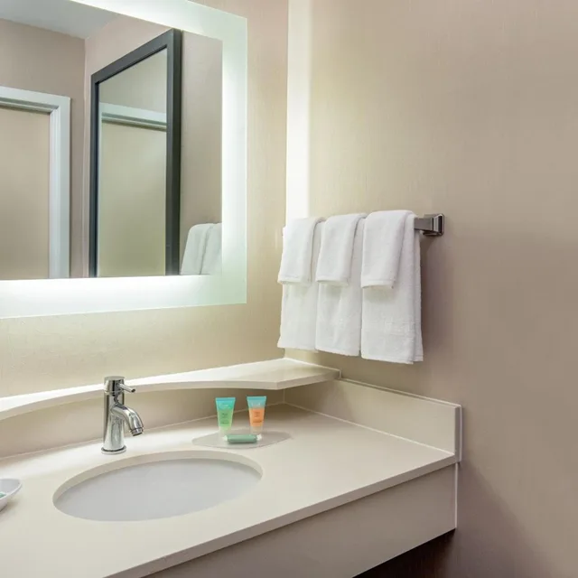 جناح بسرير كينج مع سرير سحّاب إضافي مع أريكة بحوض استحمام لذوي الإعاقة، Springhill Suites Norfolk Virginia Beach 2/9