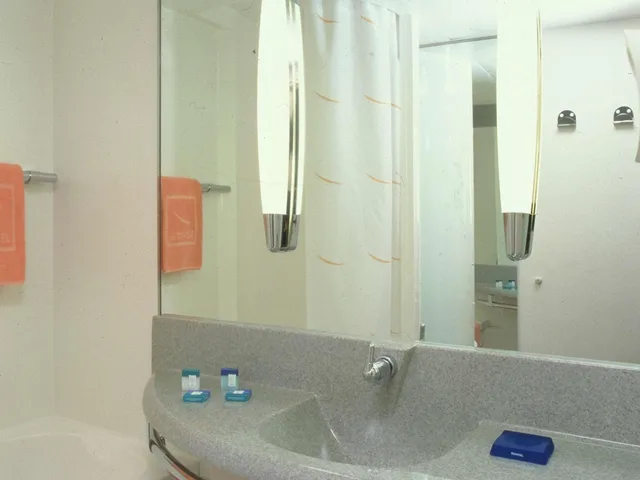 Standard, Double Bed, Sofa, Novotel Paris Nord Expo Aulnay 8/10
