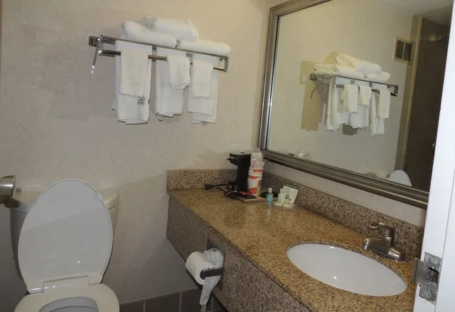 Upgrade, King Bed، Quality Inn & Suites Syracuse Fairgrounds 9/10