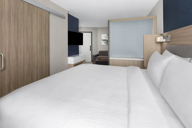 جناح استوديو بسرير كينج، SpringHill Suites by Marriott East Rutherford Meadowlands/Carlstadt 1/8