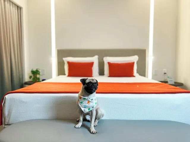 garden suite، Japaratinga Lounge Resort 2/2