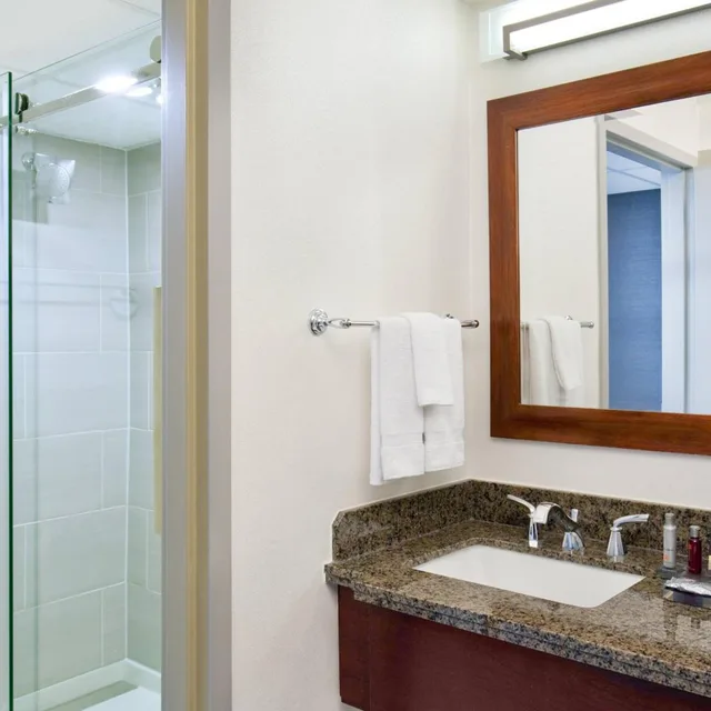 Traditional, King Bed, Concierge Level، Marriott Park Ridge 3/3