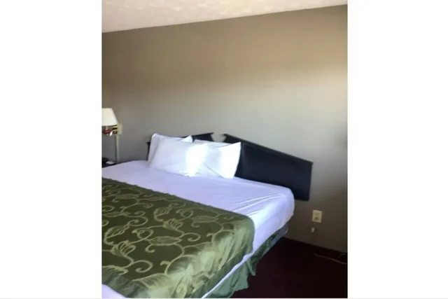 غرفة بسرير كينج بحوض جاكوزي، Hotel Georgia near Fairburn/Atlanta 1/3