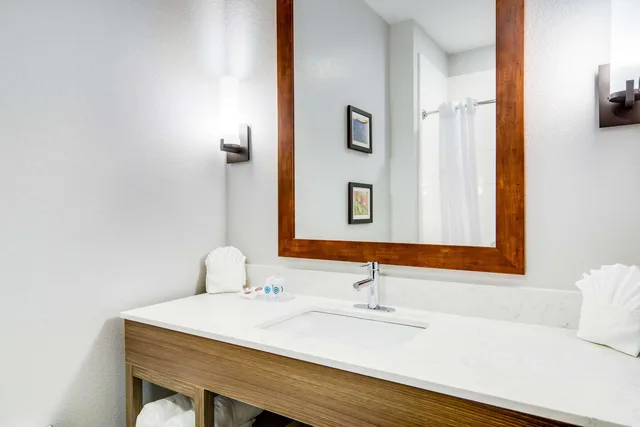 جناح، Comfort Suites DeSoto Dallas South 3/3