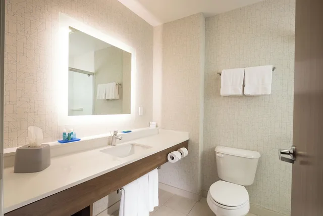 Suite, King Bed, Extra Floor Space، Holiday Inn Express And Suites Portage 3/4