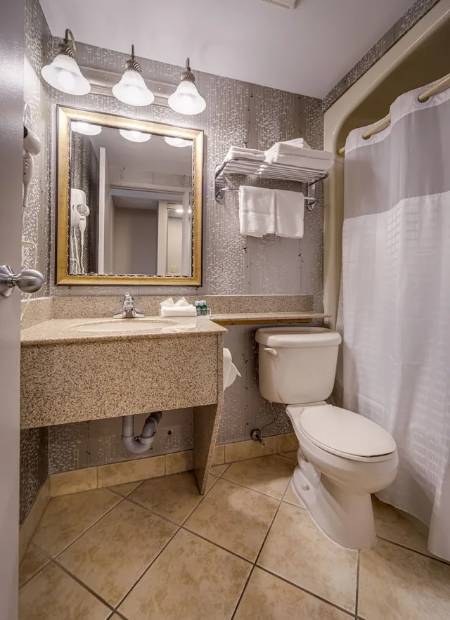 غرفة قياسية بسرير كينج، Monte Carlo Inn Vaughan Suites 3/3
