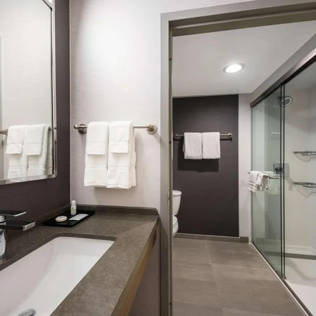 Guest Room, King Bed, Sonesta Select San Jose Airport 5/5