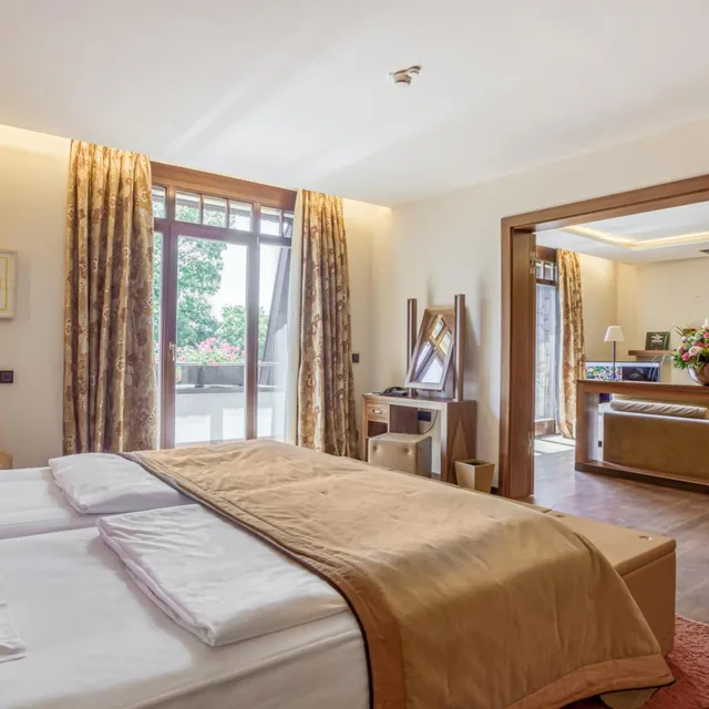 Spa, Deluxe, Suite، WALD AND SCHLOSSHOTEL FRIEDRICHSRUHE 1/8