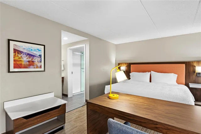 Studio, Suite, King Bed, Sofa, Hampton Inn Suites Bolingbrook 1/2