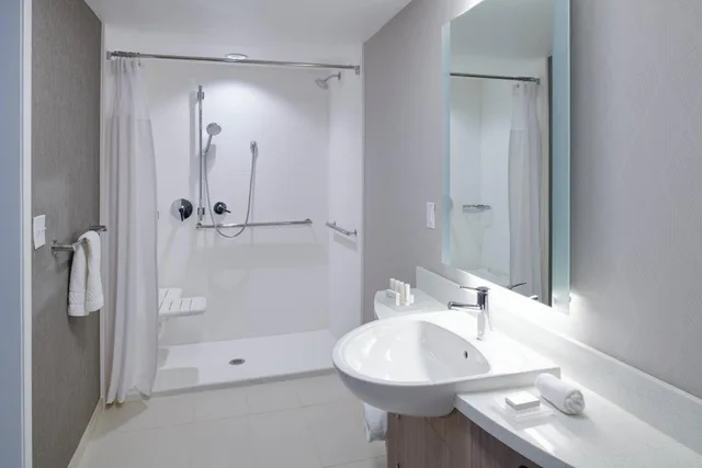 جناح بسرير كوين بإطلالة على المدينة لذوي الإعاقة، Springhill Suites Detroit Wixom 6/10
