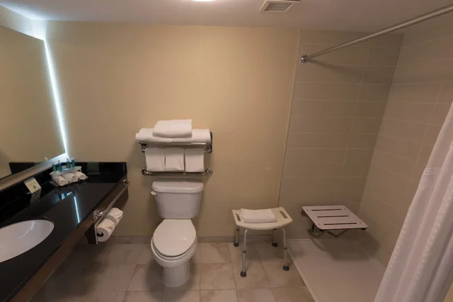 غرفة قياسية بسرير كينج لذوي الإعاقة، Holiday Inn Express Edmonton Downtown 2/2