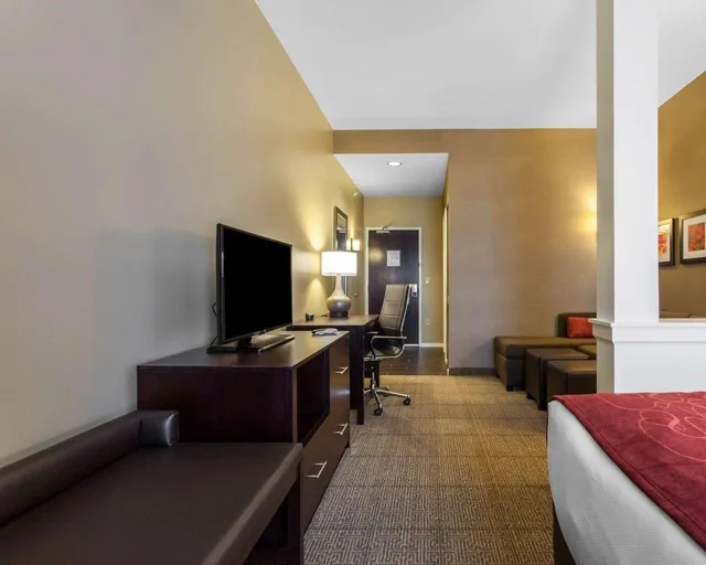 جناح بسرير كينج لذوي الإعاقة، Comfort Suites Youngstown North 2/4