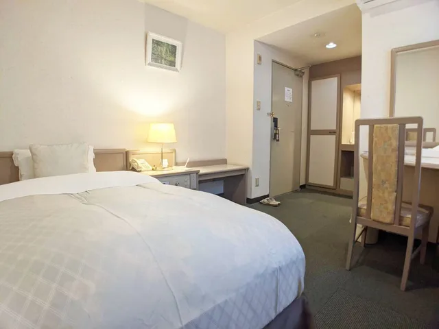 Room, Single, Hotel New Century 10/13