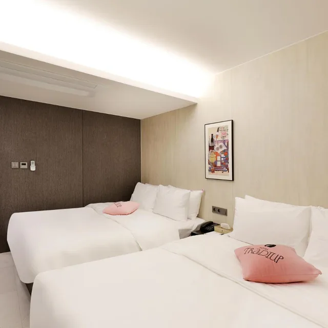 جناح بسرير مزدوج، Hotel Tradiup by the Designers 1/5