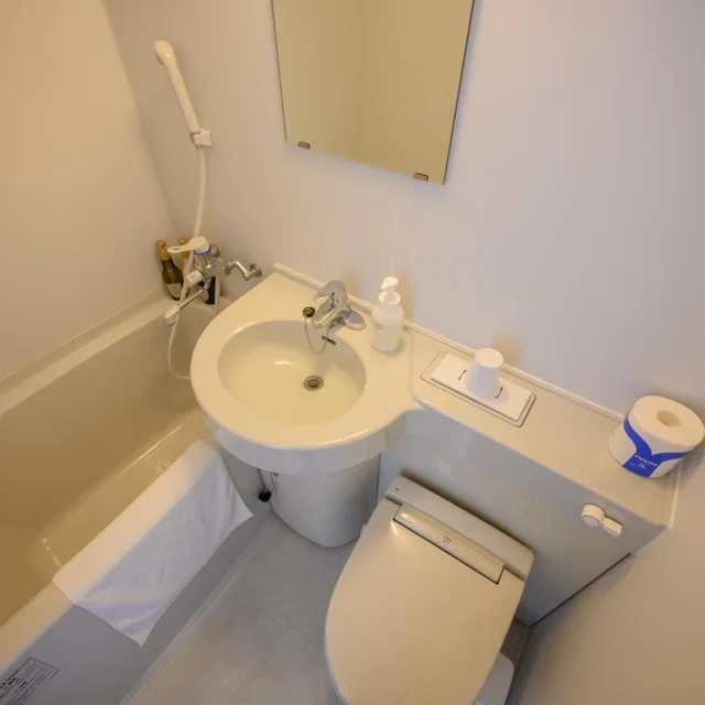 Room, Single, Hotel Emerald Isle Ishigakijima 6/9