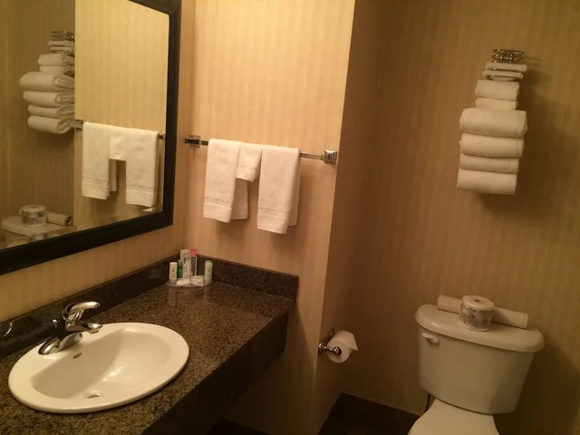 غرفة قياسية بسرير كينج، Comfort Inn And Suites Edson Yellowhead Highway 8/8
