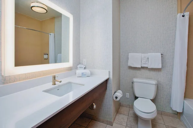 Suite, Multiple Beds, Accessible، Holiday Inn Express Hotel Suites Auburn Hills 1/3