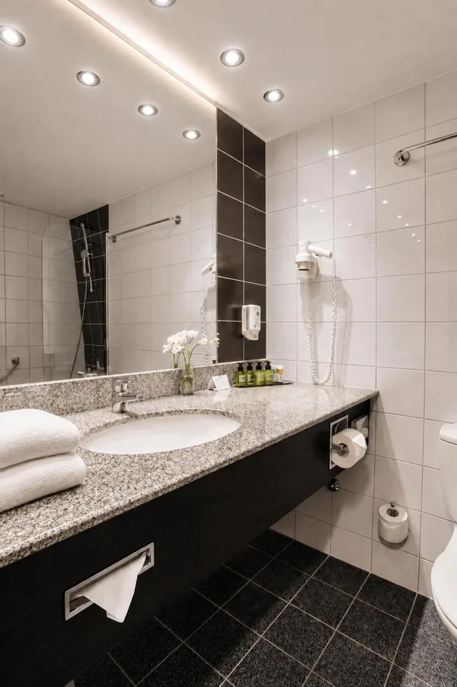 غرفة تنفيذية بانورامية تنفيذية بسرير مزدوج بإطلالة على المدينة مع دخول الصالة، Don Giovanni Hotel Prague 3/3