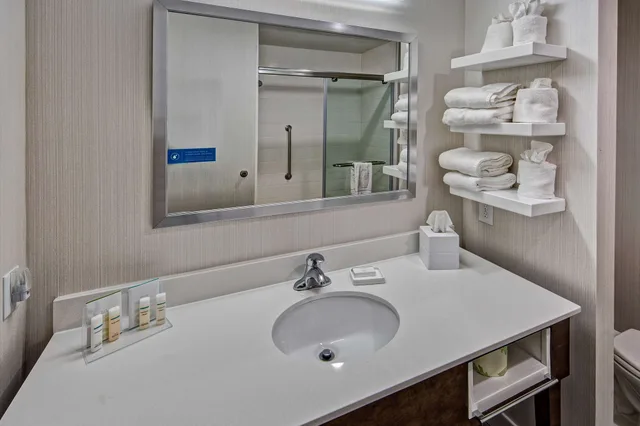 Room, King Bed, Sofa, Bathtub, Hampton Inn Summerville Sc 2/2