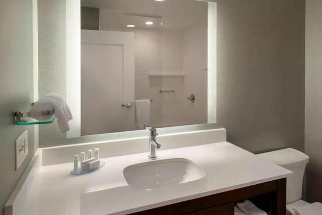 جناح بإطلالة على البحيرة بغرفة نوم واحدة لذوي الإعاقة، Residence Inn By Marriott Boston Bridgewater 2/3