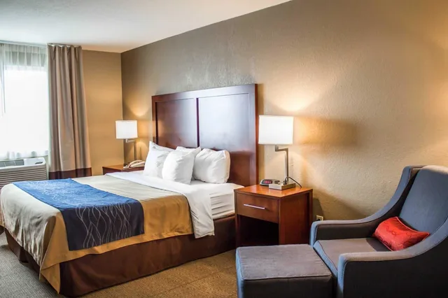 Standard, King Bed, Comfort Inn & Suites Fremont 2/2