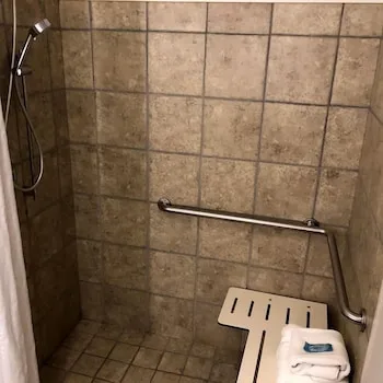غرفة قياسية بسرير كينج لذوي الإعاقة، Holiday Inn Express Hotel And Suites Decatur 5/5
