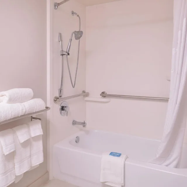 غرفة ديلوكس بسرير كينج لذوي الإعاقة، Holiday Inn Express Hotel Suites Mesquite 3/6