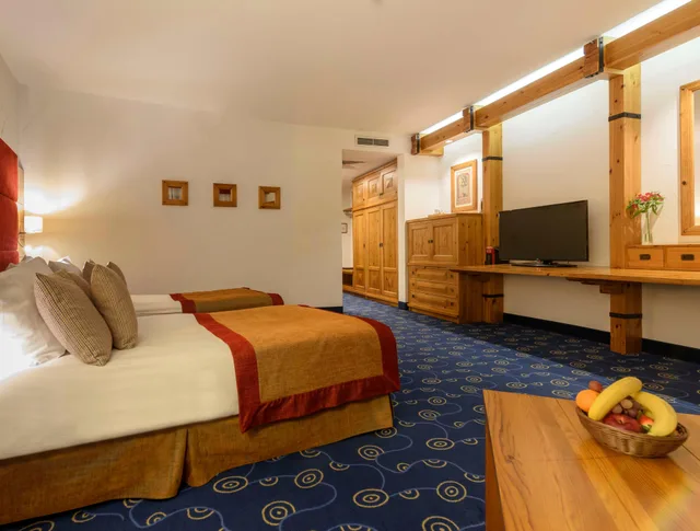 Deluxe, Twin Beds, Town View، Kempinski Hotel Grand Arena 2/6