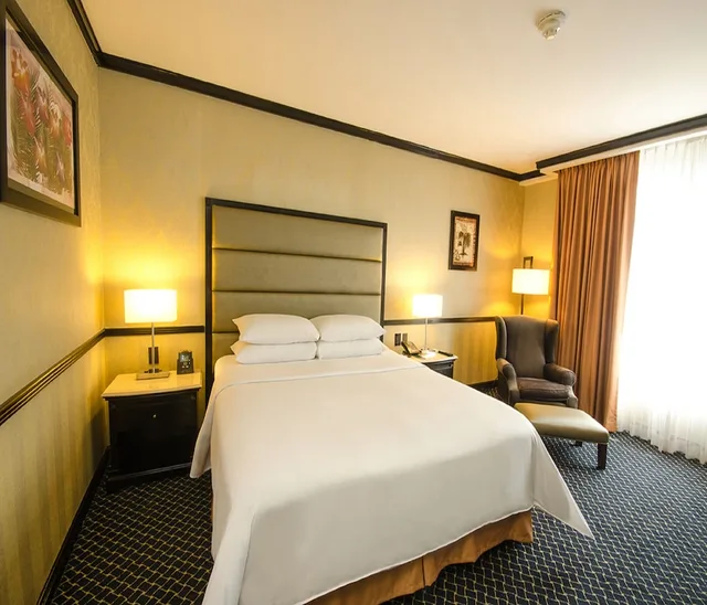 غرفة قياسية بسرير كينج، Hilton Princess San Pedro Sula 1/9