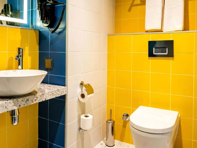 غرفة بريميوم بسرير مزدوج، ibis Styles Batumi 4/4
