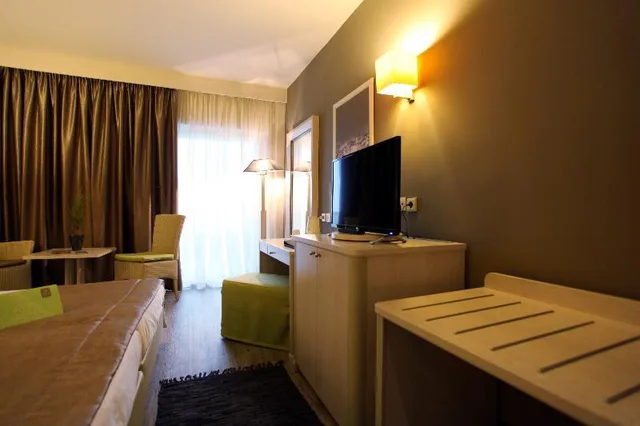 غرفة مفردة، Dion Palace, Resort & Spa Center by Anayia All Inclusive Resorts 1/1