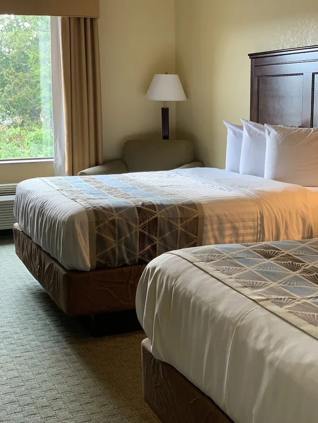 Room, 2 Queen Beds, Sofa, Accessible, Ambassador Inn and Suites Tuscaloosa 3/6