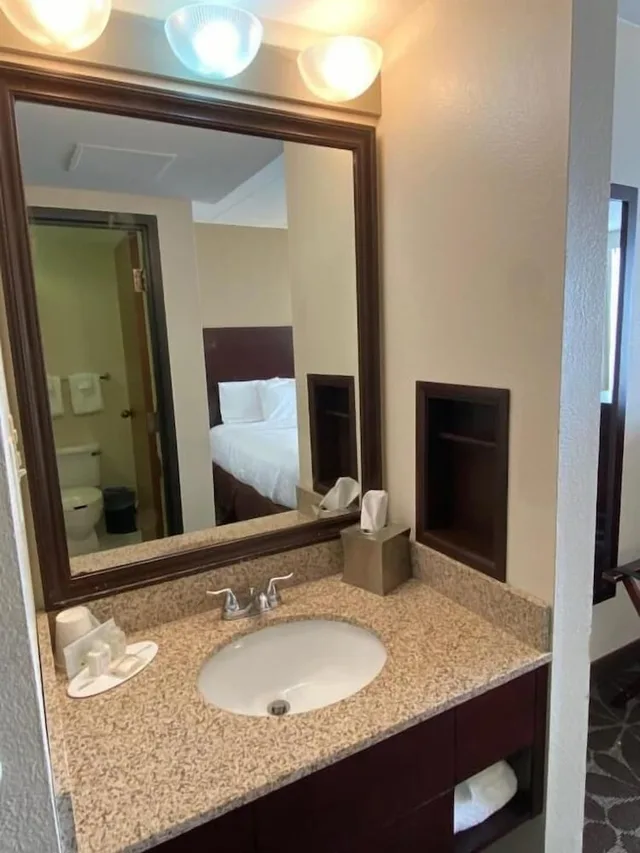غرفة بسرير كينج لذوي الإعاقة، Wyndham Garden Williamsburg Busch Gardens Area 7/10