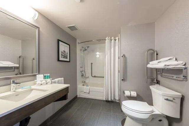 1 Bedroom, Suite, Queen Bed, Accessible, Holiday Inn Express Suites Riverport 3/3