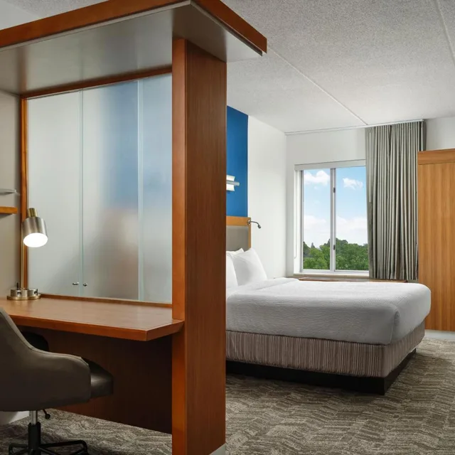 جناح بسرير كينج مع سرير سحّاب إضافي مع أريكة، Springhill Suites By Marriott Pittsburgh Mt Lebanon 1/5