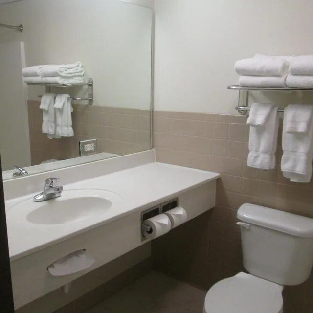 غرفة ديلوكس بسرير كينج بحوض استحمام لذوي الإعاقة، AmericInn by Wyndham Charlevoix 4/5