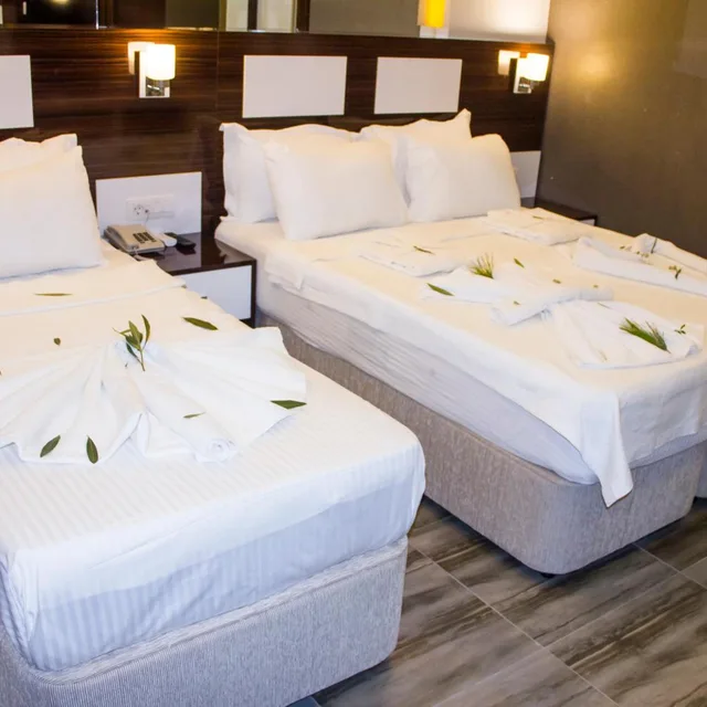 غرفة ديلوكس بشرفة، Pamukkale Termal Ece Otel 5/10