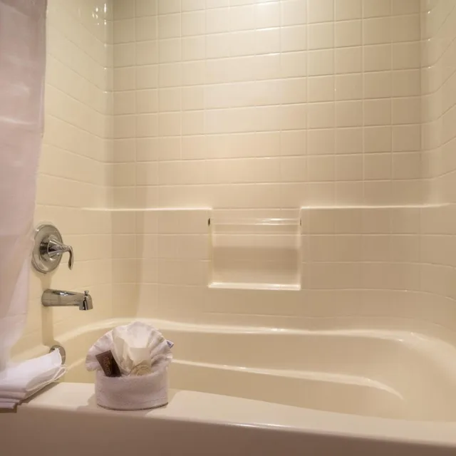 غرفة ديلوكس بسرير كينج بإطلالة على المدينة، Ayres Hotel Seal Beach 6/6