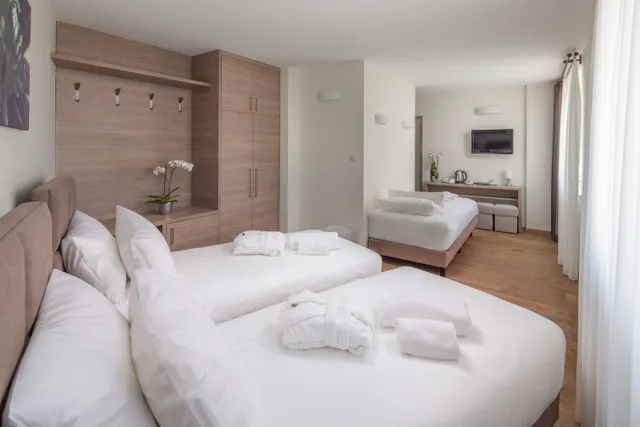 غرفة قياسية ثلاثية، Vitta Hotel Superior Budapest 1/7