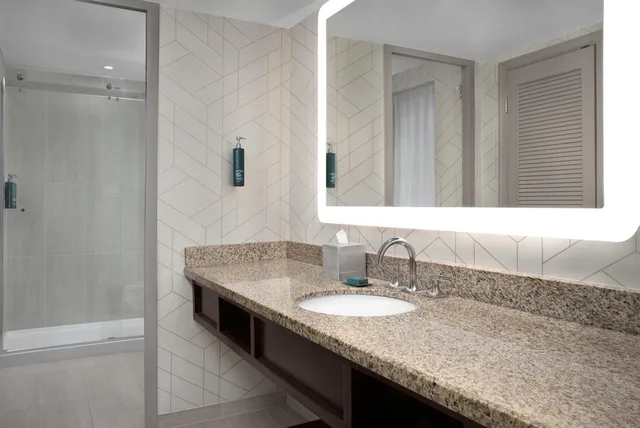 Junior Suite, Studio, King Bed، Hilton Philadelphia Airport 5/7