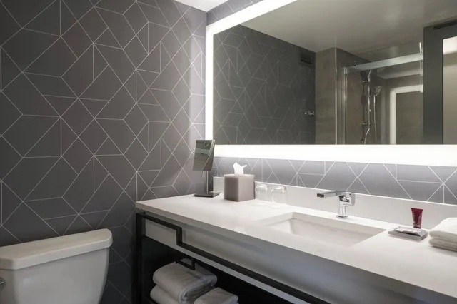 غرفة ديلوكس بسرير كينج، Philadelphia Marriott Old City 4/5