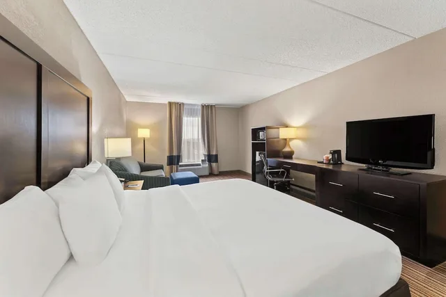 غرفة قياسية بسرير كينج مع أريكة، Comfort Inn Lehigh Valley West 1/6