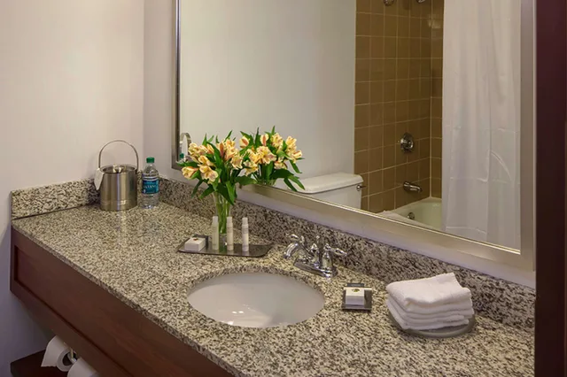 جناح بسرير كينج بغرفتين مع أريكة، Doubletree By Hilton Hotel Pittsburgh - Cranberry 8/8