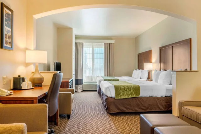 جناح مع أريكة، Comfort Inn & Suites Galt Lodi North 3/6